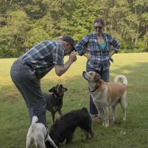 20250803_Dog Park__DSC0285_.jpg