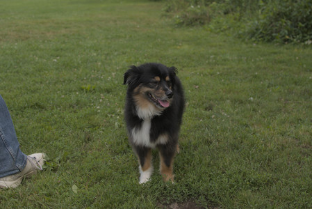 20250803_Dog Park__DSC0287_.jpg