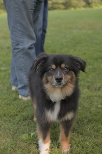 20250803_Dog Park__DSC0289_.jpg