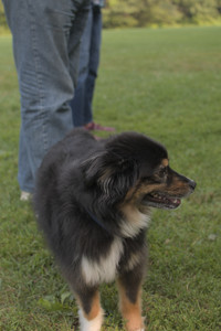 20250803_Dog Park__DSC0290_.jpg