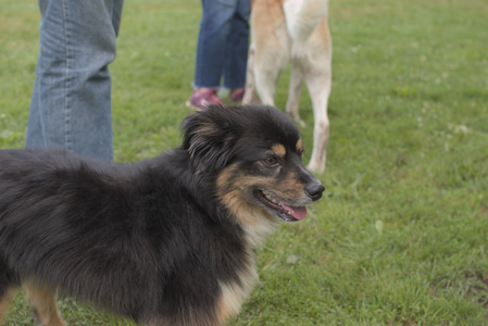 20250803_Dog Park__DSC0291_.jpg