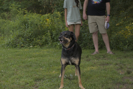 20250803_Dog Park__DSC0292_.jpg