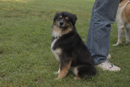 20250803_Dog Park__DSC0295_.jpg