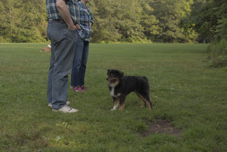 20250803_Dog Park__DSC0297_.jpg
