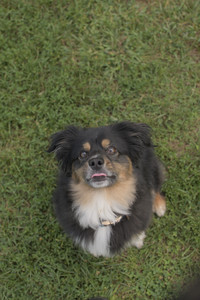 20250803_Dog Park__DSC0299_.jpg