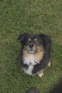 20250803_Dog Park__DSC0301_.jpg