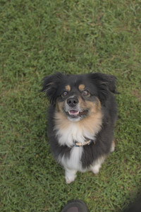 20250803_Dog Park__DSC0302_.jpg