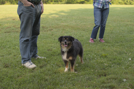 20250803_Dog Park__DSC0306_.jpg