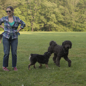 20250803_Dog Park__DSC0307_.jpg