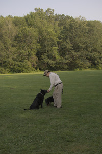 20250803_Dog Park__DSC0310_.jpg
