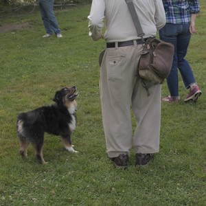 20250803_Dog Park__DSC0314_.jpg