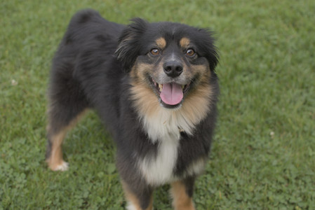 20250803_Dog Park__DSC0322_.jpg