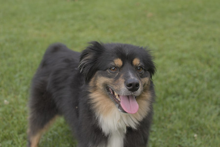 20250803_Dog Park__DSC0323_.jpg