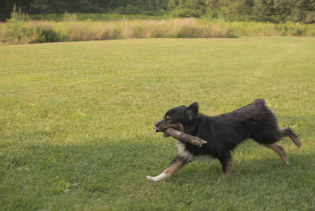 20250803_Dog Park__DSC0330_.jpg