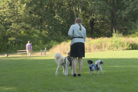 20250807_Thisbe and Dog Park and B and W dogs__DSC0049_.jpg