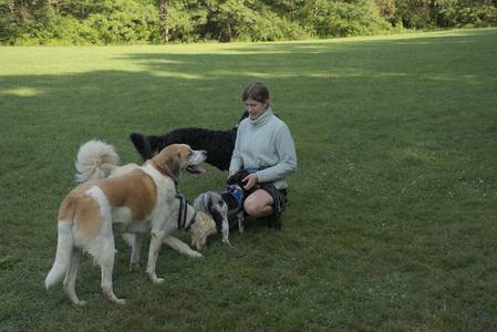 20250807_Thisbe and Dog Park and B and W dogs__DSC0080_.jpg