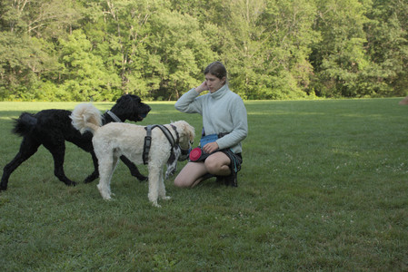 20250807_Thisbe and Dog Park and B and W dogs__DSC0083_.jpg