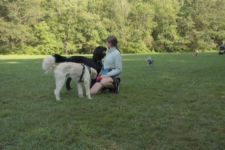 20250807_Thisbe and Dog Park and B and W dogs__DSC0084_.jpg