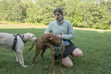 20250807_Thisbe and Dog Park and B and W dogs__DSC0098_.jpg