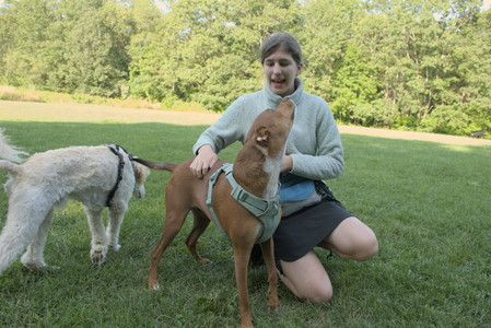 20250807_Thisbe and Dog Park and B and W dogs__DSC0099_.jpg