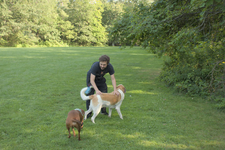 20250807_Thisbe and Dog Park and B and W dogs__DSC0102_.jpg