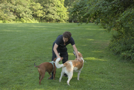 20250807_Thisbe and Dog Park and B and W dogs__DSC0103_.jpg