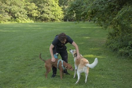 20250807_Thisbe and Dog Park and B and W dogs__DSC0104_.jpg