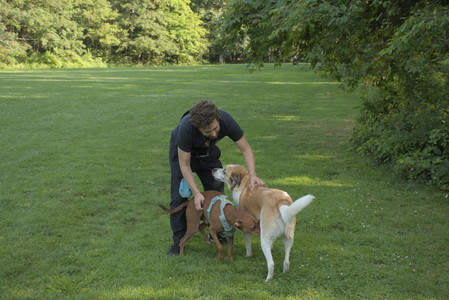 20250807_Thisbe and Dog Park and B and W dogs__DSC0105_.jpg