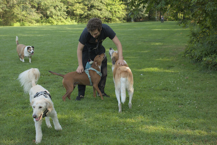 20250807_Thisbe and Dog Park and B and W dogs__DSC0106_.jpg