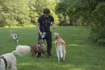 20250807_Thisbe and Dog Park and B and W dogs__DSC0107_.jpg