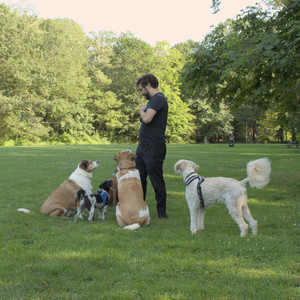 20250807_Thisbe and Dog Park and B and W dogs__DSC0111_.jpg