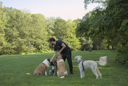 20250807_Thisbe and Dog Park and B and W dogs__DSC0112_.jpg