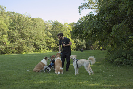 20250807_Thisbe and Dog Park and B and W dogs__DSC0113_.jpg