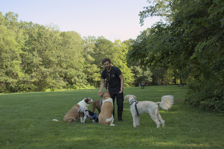 20250807_Thisbe and Dog Park and B and W dogs__DSC0114_.jpg