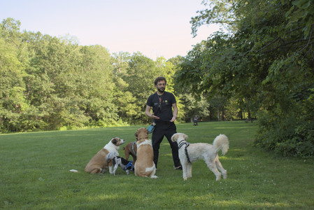 20250807_Thisbe and Dog Park and B and W dogs__DSC0115_.jpg