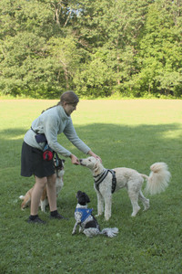 20250807_Thisbe and Dog Park and B and W dogs__DSC0119_.jpg