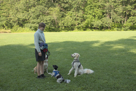20250807_Thisbe and Dog Park and B and W dogs__DSC0121_.jpg
