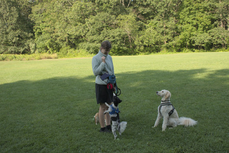 20250807_Thisbe and Dog Park and B and W dogs__DSC0122_.jpg