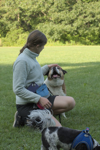 20250807_Thisbe and Dog Park and B and W dogs__DSC0123_.jpg