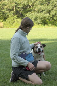 20250807_Thisbe and Dog Park and B and W dogs__DSC0124_.jpg