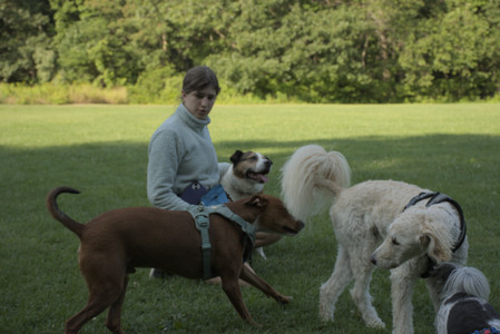 20250807_Thisbe and Dog Park and B and W dogs__DSC0125_.jpg