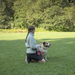 20250807_Thisbe and Dog Park and B and W dogs__DSC0145_.jpg