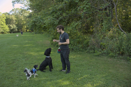 20250807_Thisbe and Dog Park and B and W dogs__DSC0152_.jpg