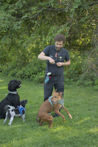 20250807_Thisbe and Dog Park and B and W dogs__DSC0153_.jpg