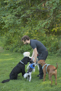 20250807_Thisbe and Dog Park and B and W dogs__DSC0157_.jpg