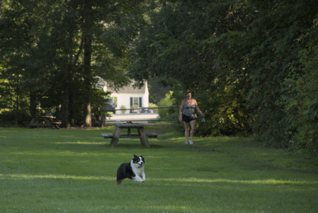 20250807_Thisbe and Dog Park and B and W dogs__DSC0181_.jpg