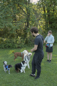 20250807_Thisbe and Dog Park and B and W dogs__DSC0194_.jpg