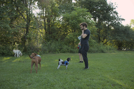 20250807_Thisbe and Dog Park and B and W dogs__DSC0197_.jpg