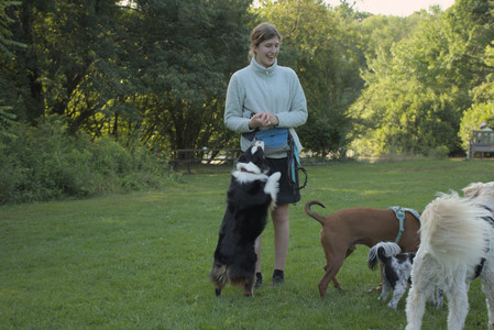 20250807_Thisbe and Dog Park and B and W dogs__DSC0203_.jpg