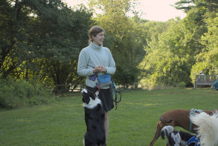 20250807_Thisbe and Dog Park and B and W dogs__DSC0204_.jpg